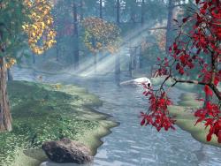 Peaceful 2